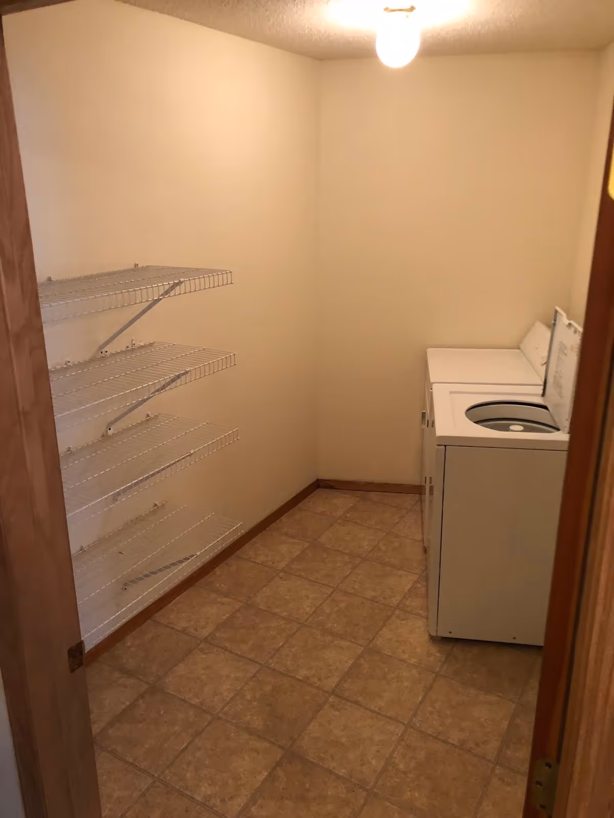 Small laundry room with a top-loading washer on the right and multiple wire shelves mounted on the left wall.