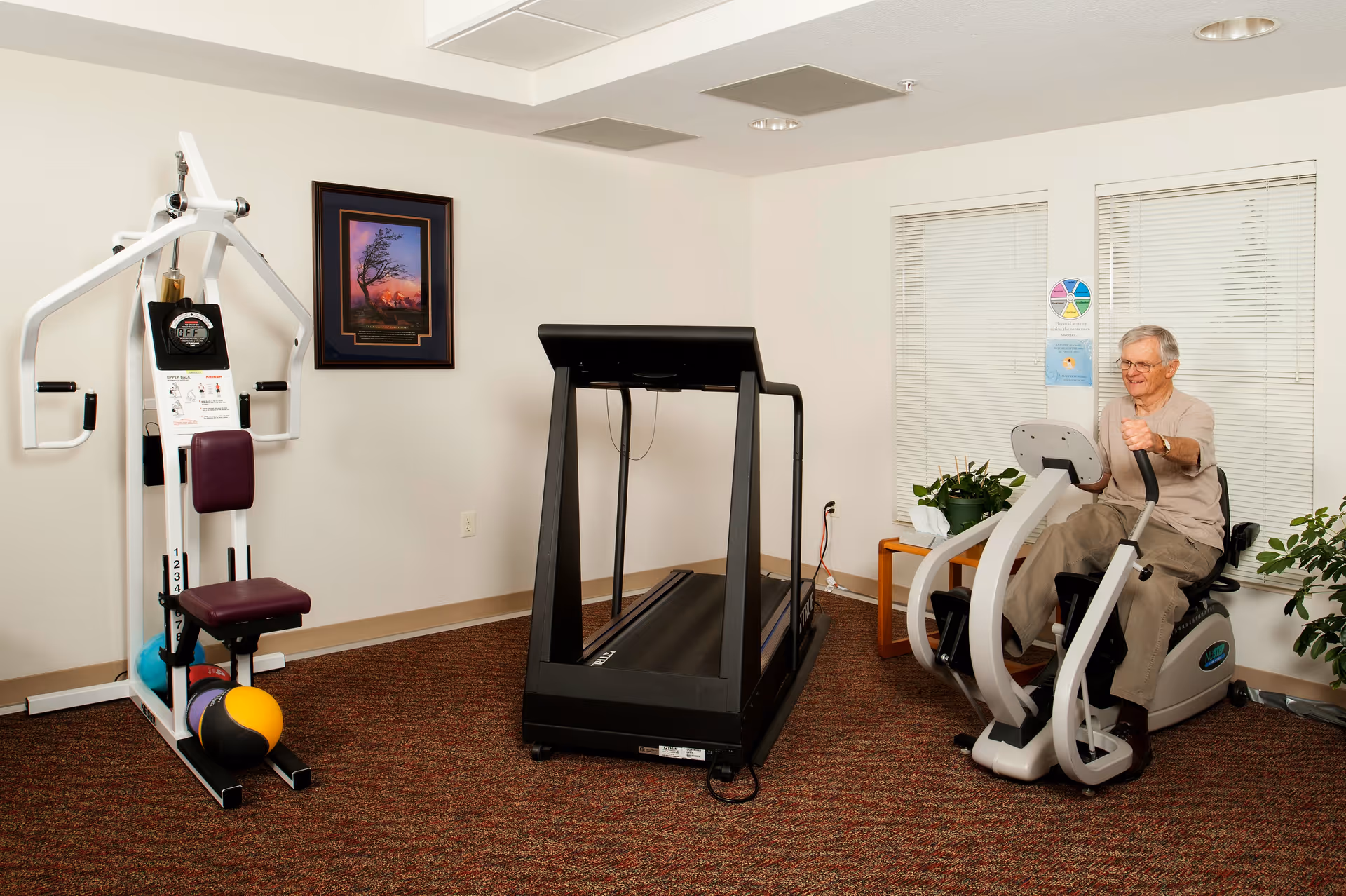 A senior man exercising on a recumbent bike in a small fitness room with a treadmill and a weight machine. The room has beige walls, a framed picture on the wall, two windows with blinds, and some potted plants.