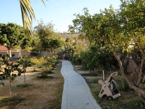 A winding concrete path through a sunny garden with trees and shrubs.
