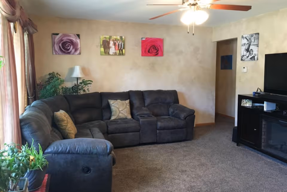 Cozy living room with a dark gray sectional sofa, TV stand, ceiling fan, wall art, and potted plants.
