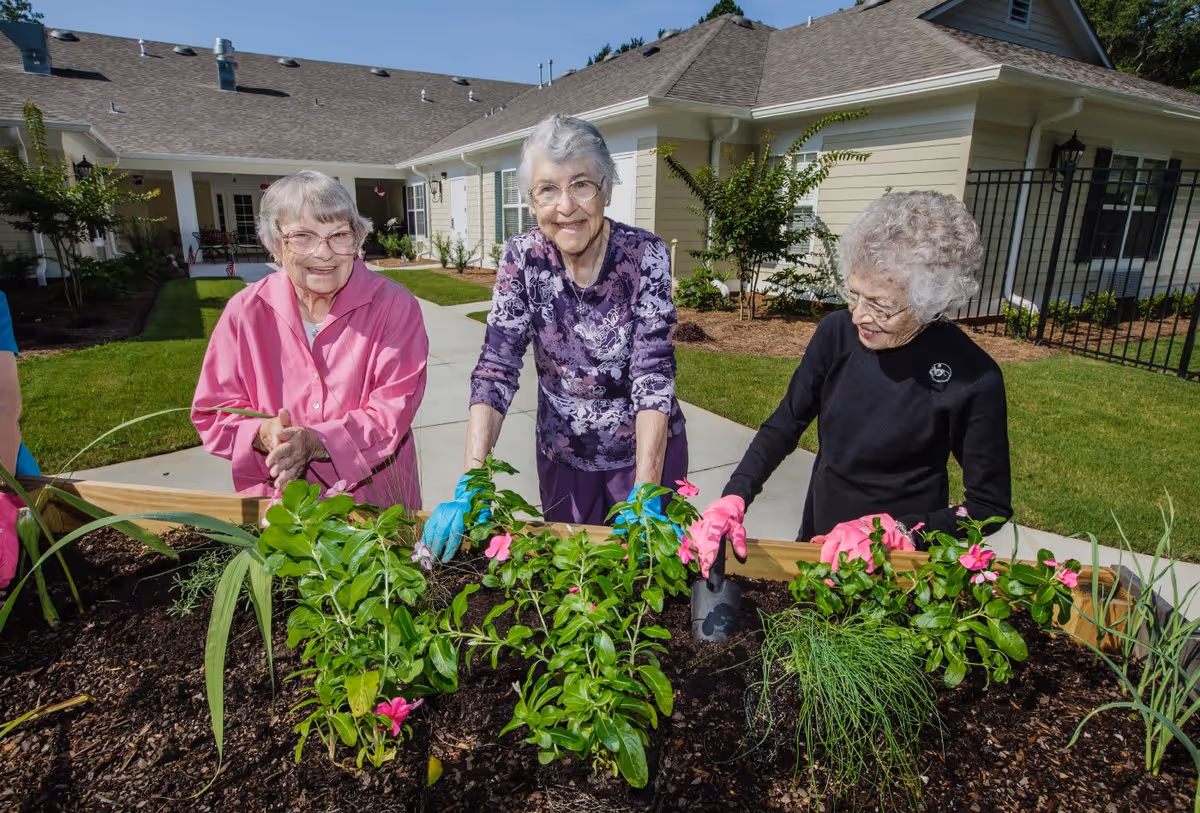 Three elderly women gardening together outdoors in a raised garden bed with green plants and pink flowers, in front of a senior living facility building under a clear blue sky.