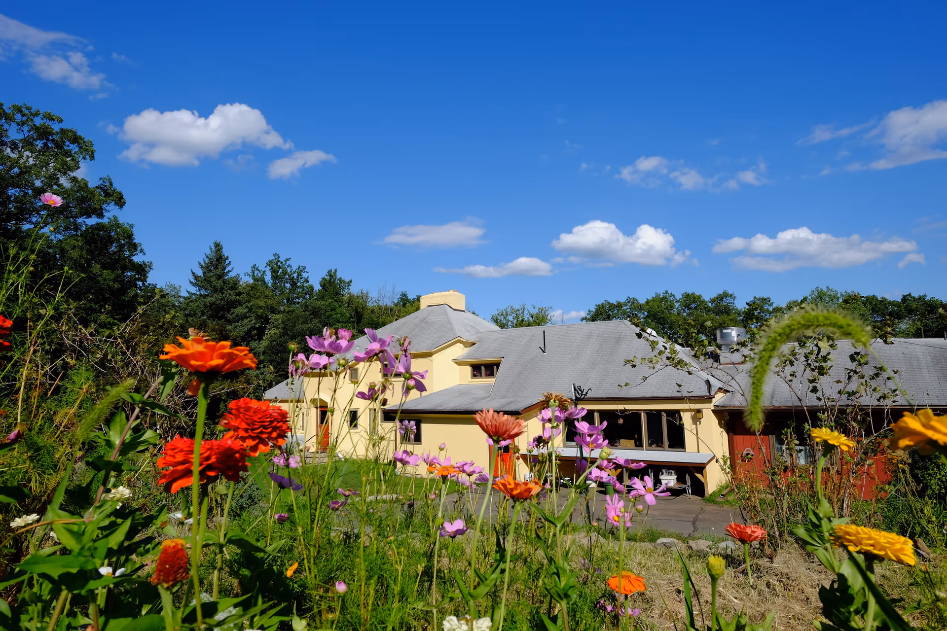 A yellow building with a gray roof surrounded by colorful flowers in the foreground under a bright blue sky with scattered white clouds and green trees in the background.