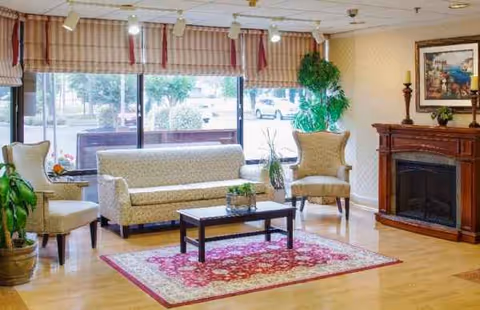 Sunlit lounge with sofa, chairs, coffee table, rug, and a fireplace.