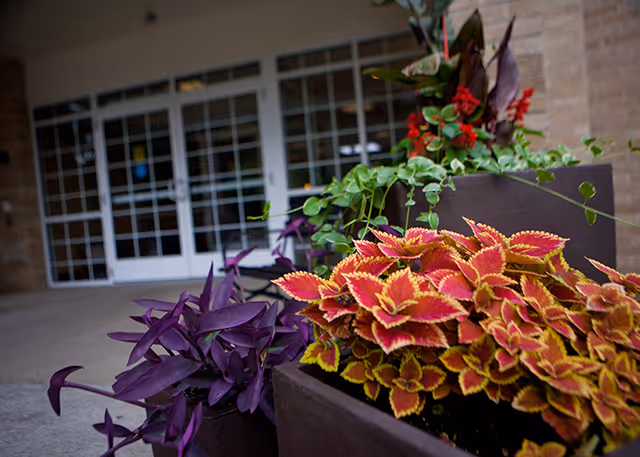 Colorful planters with foliage in front of a building's glass entrance doors.