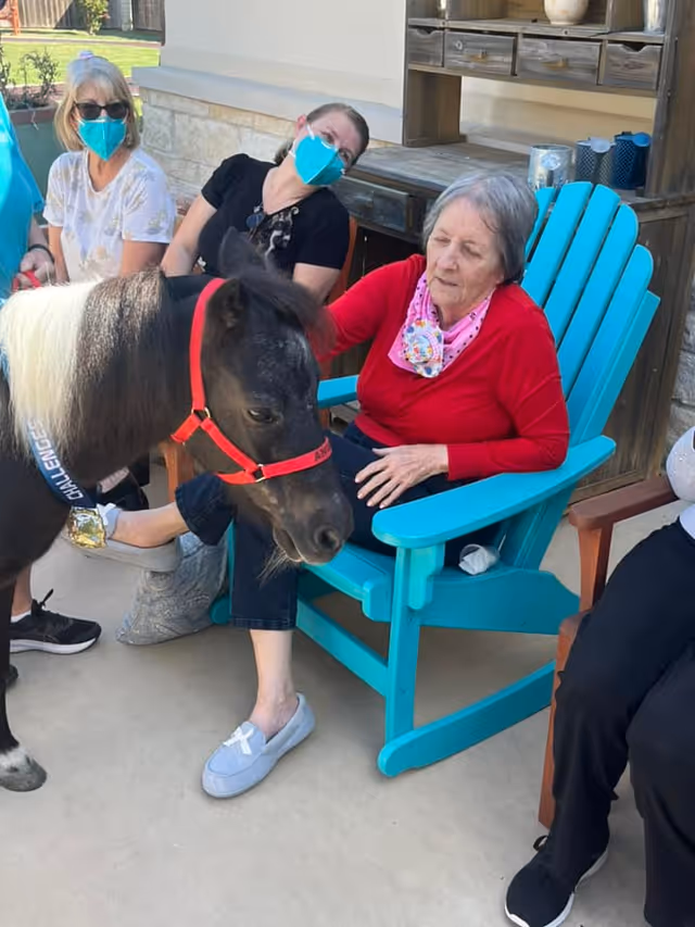 An elderly woman sitting in a turquoise rocking chair outdoors, petting a small black and white pony wearing a red halter. Two other women wearing face masks are seated nearby, watching the interaction.