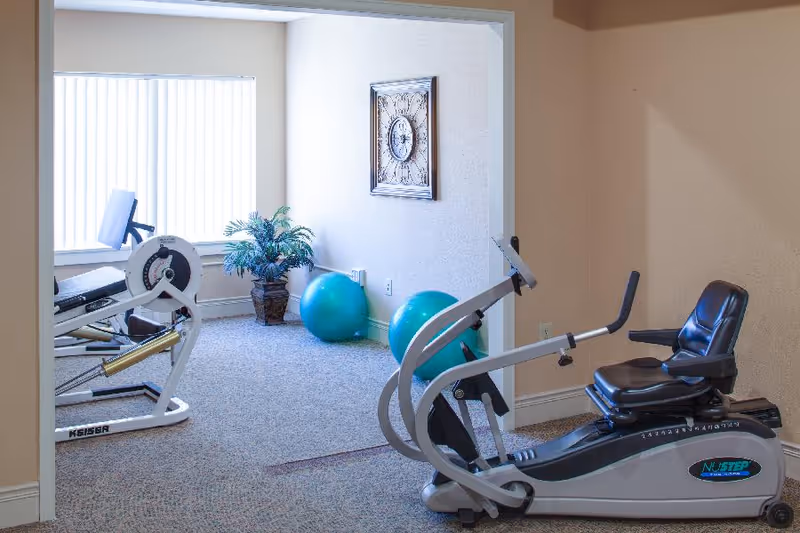 A small exercise room with fitness equipment including a recumbent exercise bike and a weight machine. Two blue exercise balls and a potted plant are visible near a window with vertical blinds. A decorative wall clock hangs on the wall.