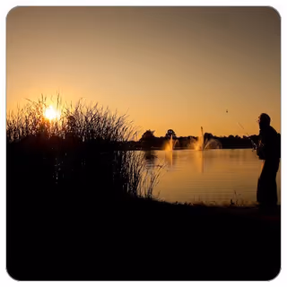 Silhouetted person fishing at sunset on a lake with fountains and tall reeds.