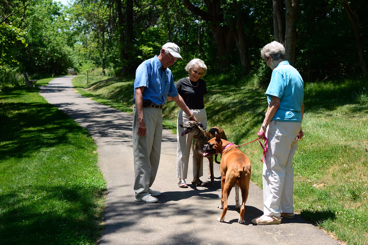 Three elderly people standing on a paved path in a green park-like area, two of them interacting with two dogs on leashes. The scene is sunny with trees and grass surrounding the path.