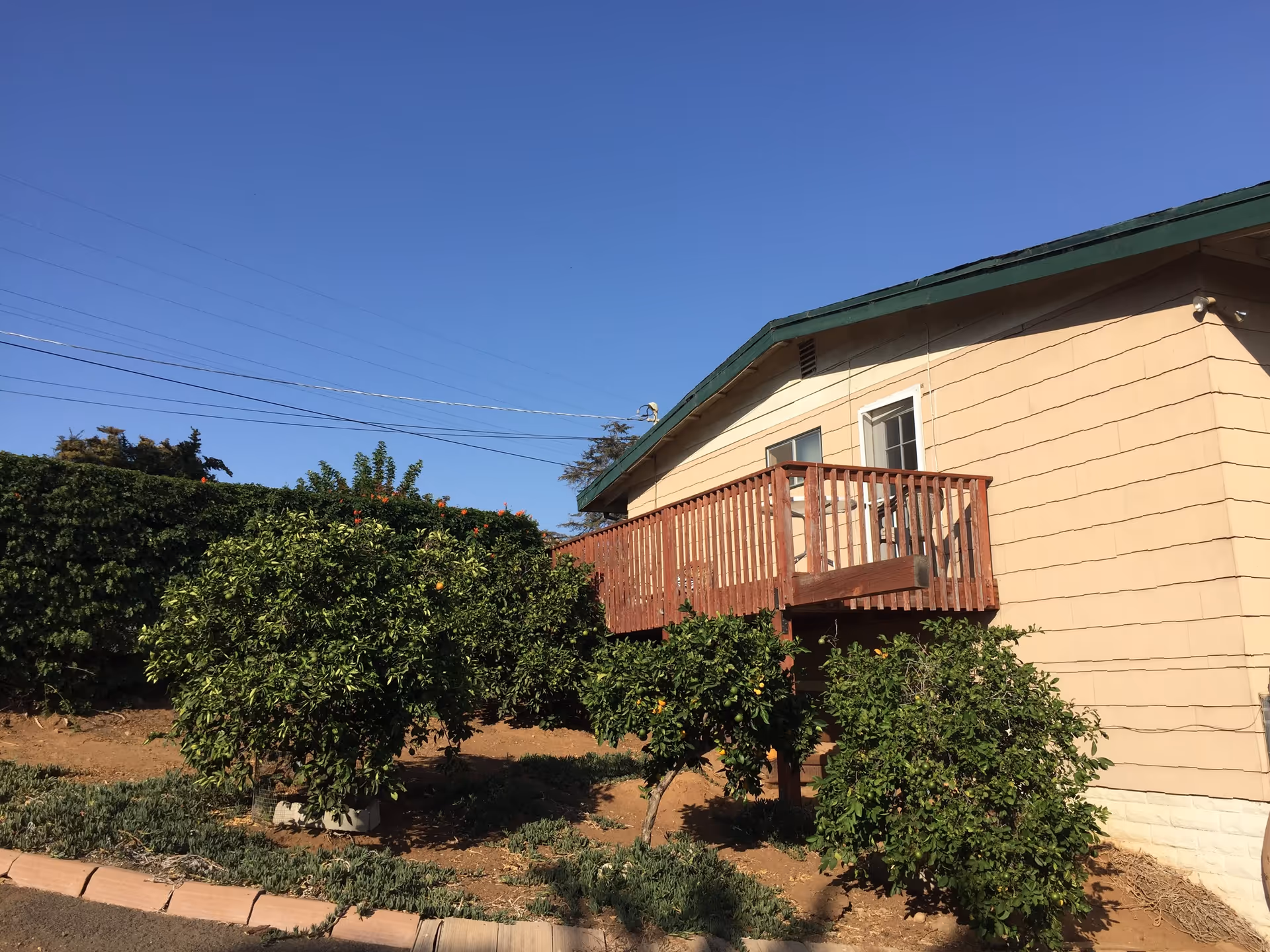 Photo 2 of Forest View Guest Home