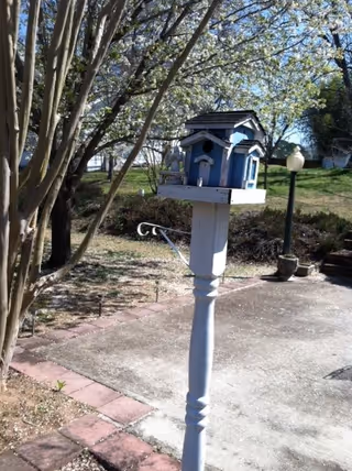 A small blue and white birdhouse mounted on a white post in an outdoor garden area. Surrounding the birdhouse are blooming trees with white flowers, a paved pathway with red brick edging, a lamp post, and some greenery in the background under a clear blue sky.