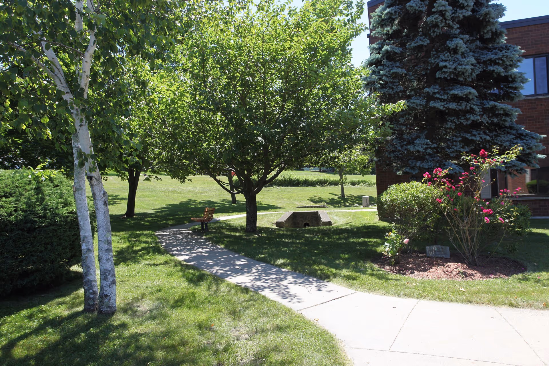 A sunny outdoor garden area with a concrete pathway winding through green grass and trees. There is a wooden bench along the path and a variety of trees and shrubs, including a flowering bush with pink flowers. Part of a brick building is visible on the right side.