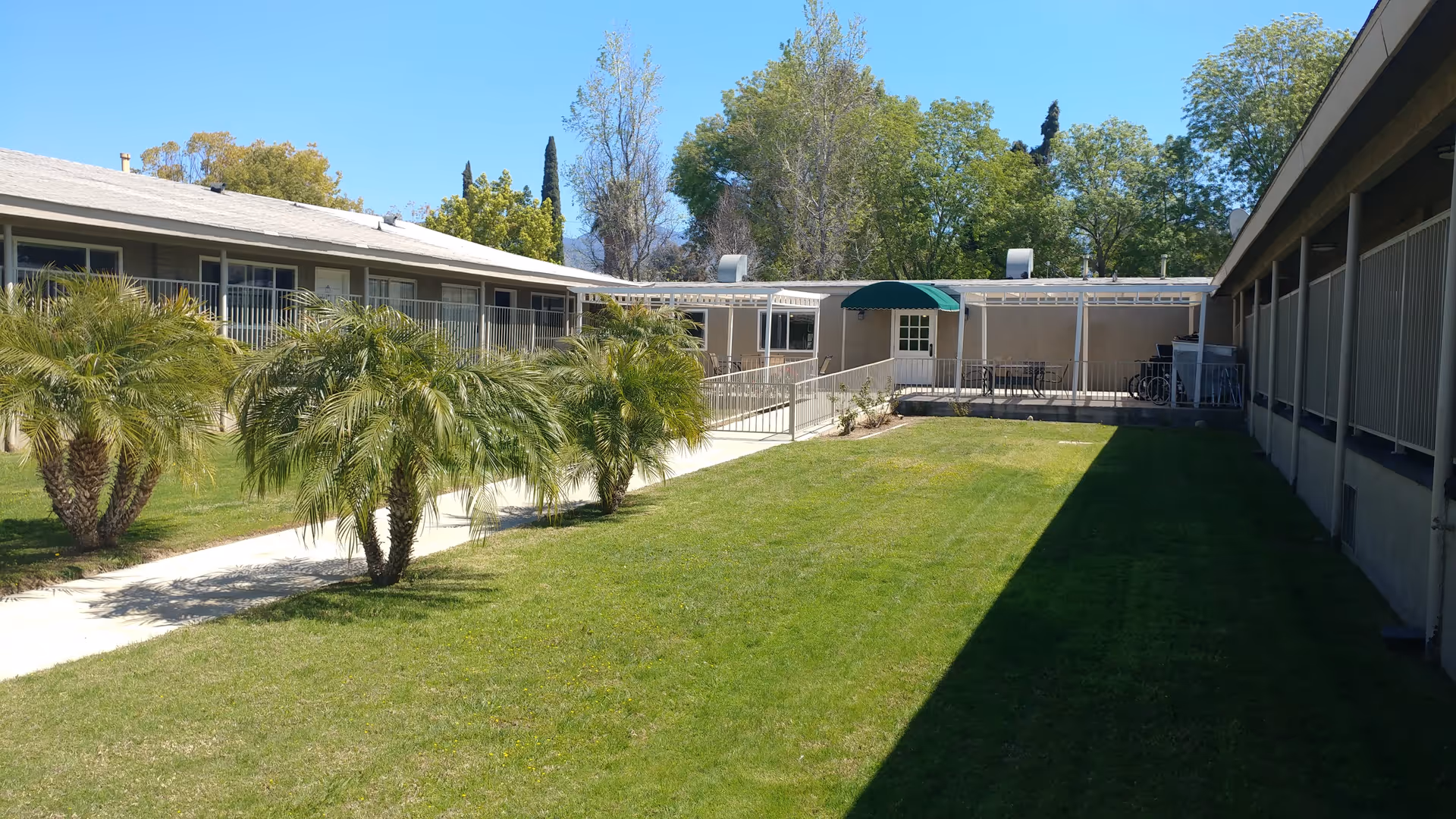 Outdoor courtyard area of Rose Garden Residential Care with a well-maintained lawn, palm trees, and a pathway leading to a building entrance with a green awning. The building surrounds the courtyard on three sides under a clear blue sky.