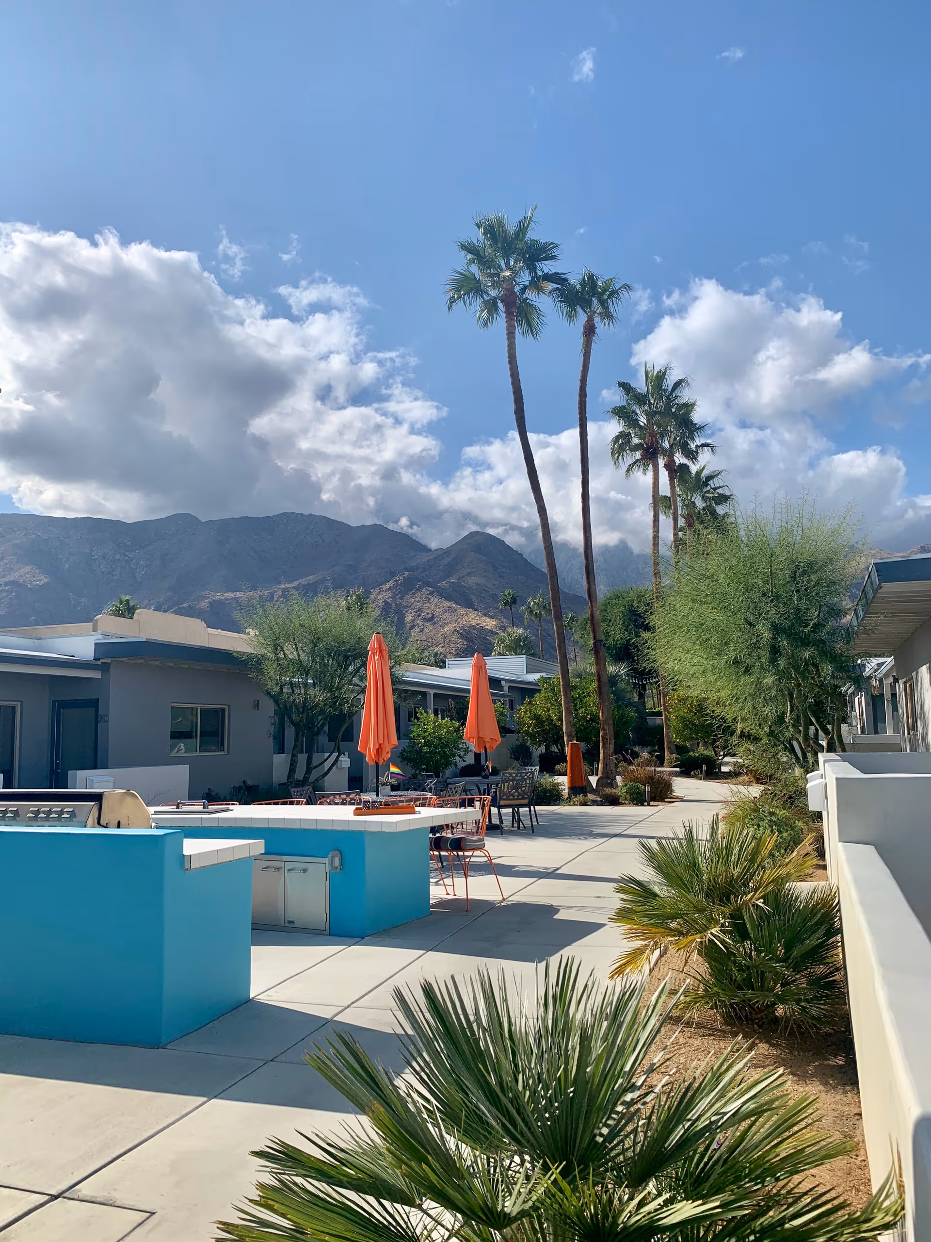Sunny courtyard with tall palm trees, blue outdoor counters, orange umbrellas and seating, with mountains and clouds in the background.