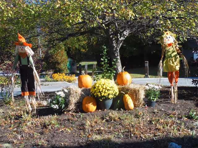 Outdoor autumn display featuring two scarecrows dressed in fall attire, several pumpkins, hay bales, and a pot of yellow chrysanthemums arranged under a tree with green leaves.