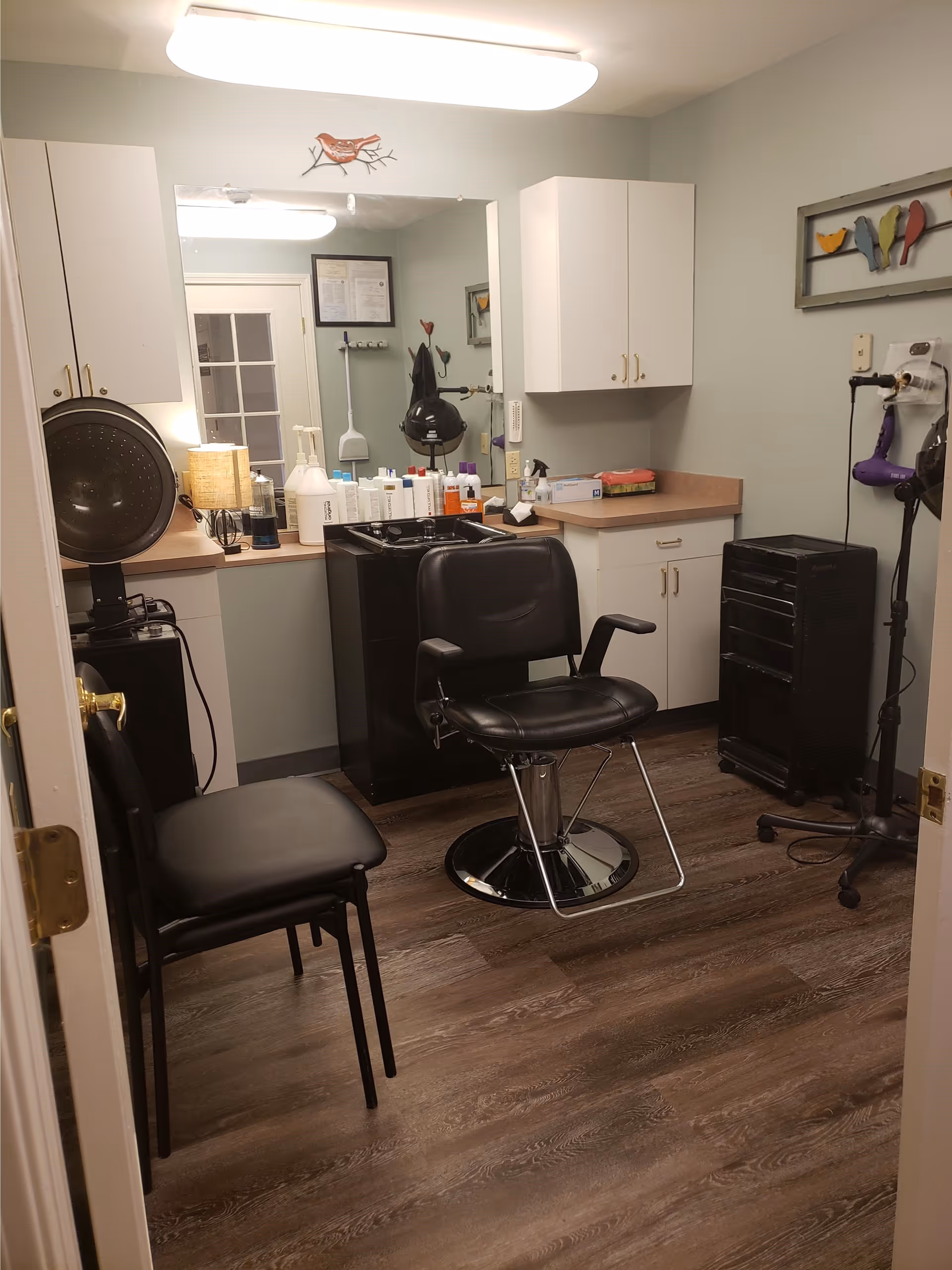 A small hair salon room with a black salon chair in the center, a black washing station behind it, and various hair care products on the countertop. There are white cabinets on the walls, a large mirror, a hair dryer on a stand, and a decorative wall art featuring colorful birds. The floor is wood-patterned.