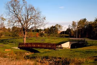 A peaceful outdoor scene at Tallgrass Creek Senior Living Community featuring a small wooden bridge over a grassy area with a few trees and a clear blue sky.