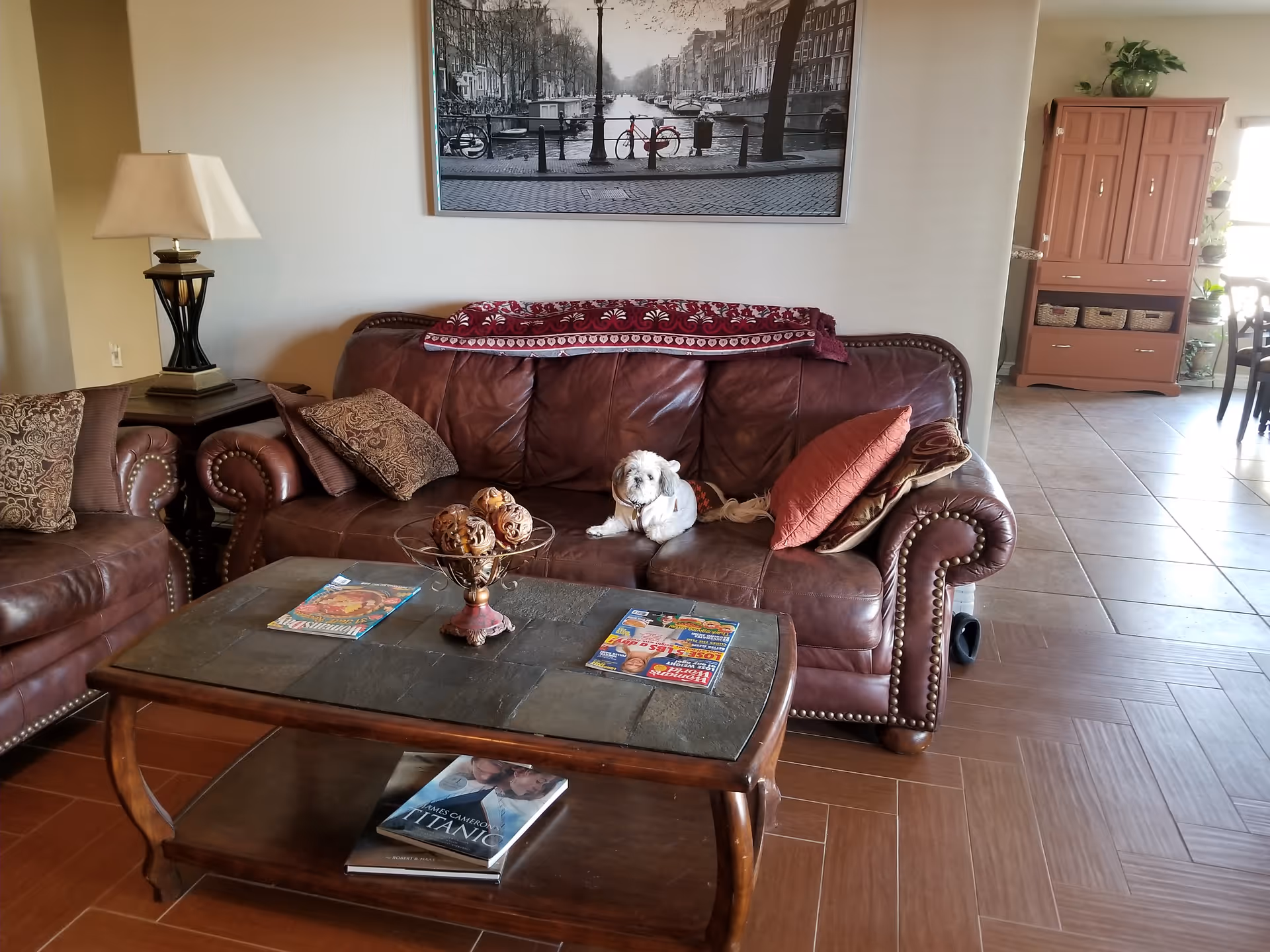 A cozy living room with a brown leather sofa and matching armchair, decorated with patterned pillows and a red throw blanket. A small white dog is sitting on the sofa. A wooden coffee table with magazines and decorative items is in front of the sofa. A lamp on a side table and a large black and white framed photo of a canal scene hang on the wall behind the sofa. The room has tiled flooring and an open view into a dining area with a wooden cabinet and plants.