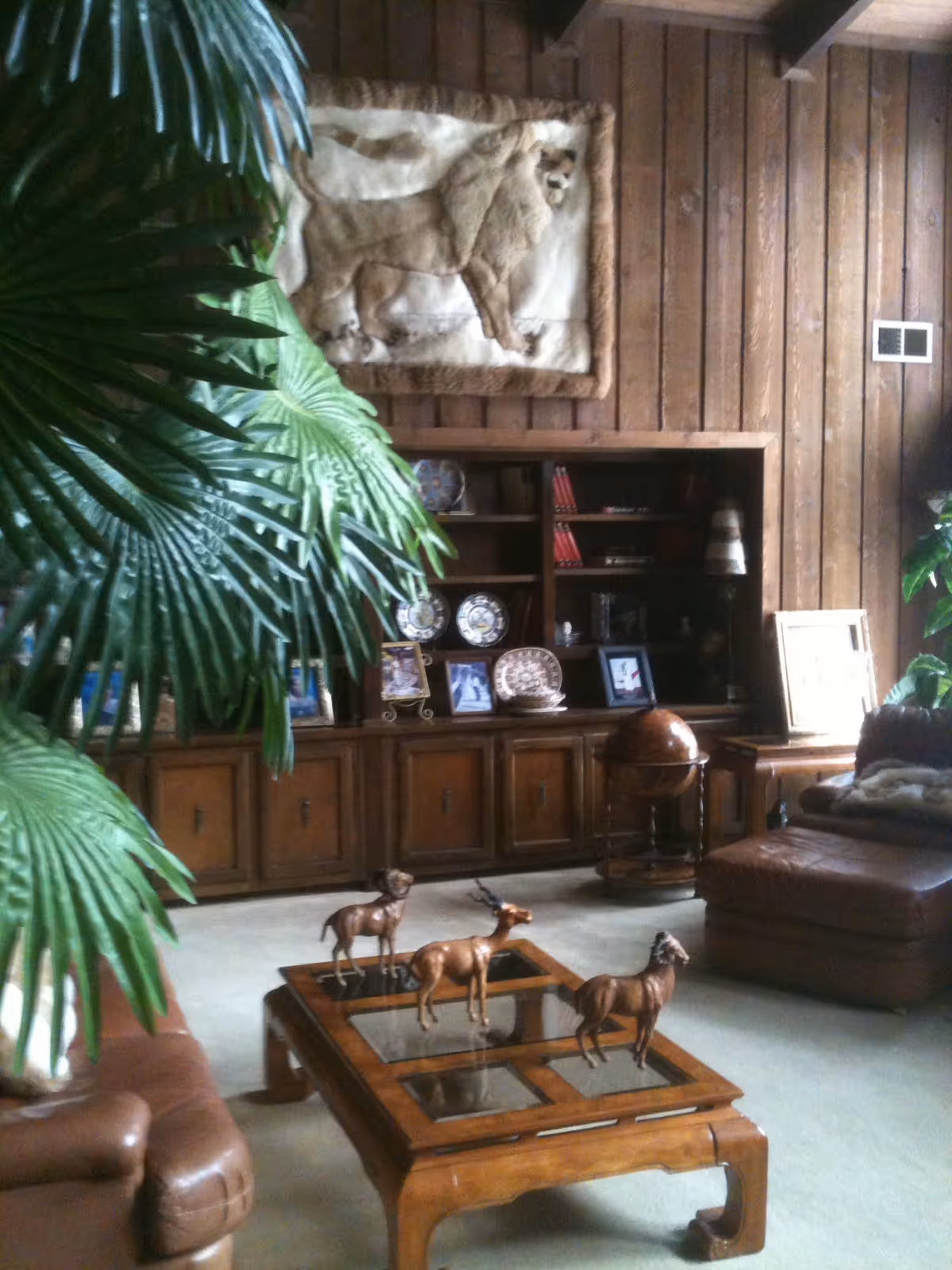 A cozy living room with wood-paneled walls, a large leafy plant, a wooden coffee table with glass panels and three animal figurines on it, a brown leather armchair, a globe on a stand, and a built-in wooden bookshelf displaying plates, framed photos, and books. A lion wall hanging is mounted above the bookshelf.