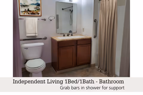 Bathroom with a toilet, vanity and mirror, and a curtained shower with grab bars.