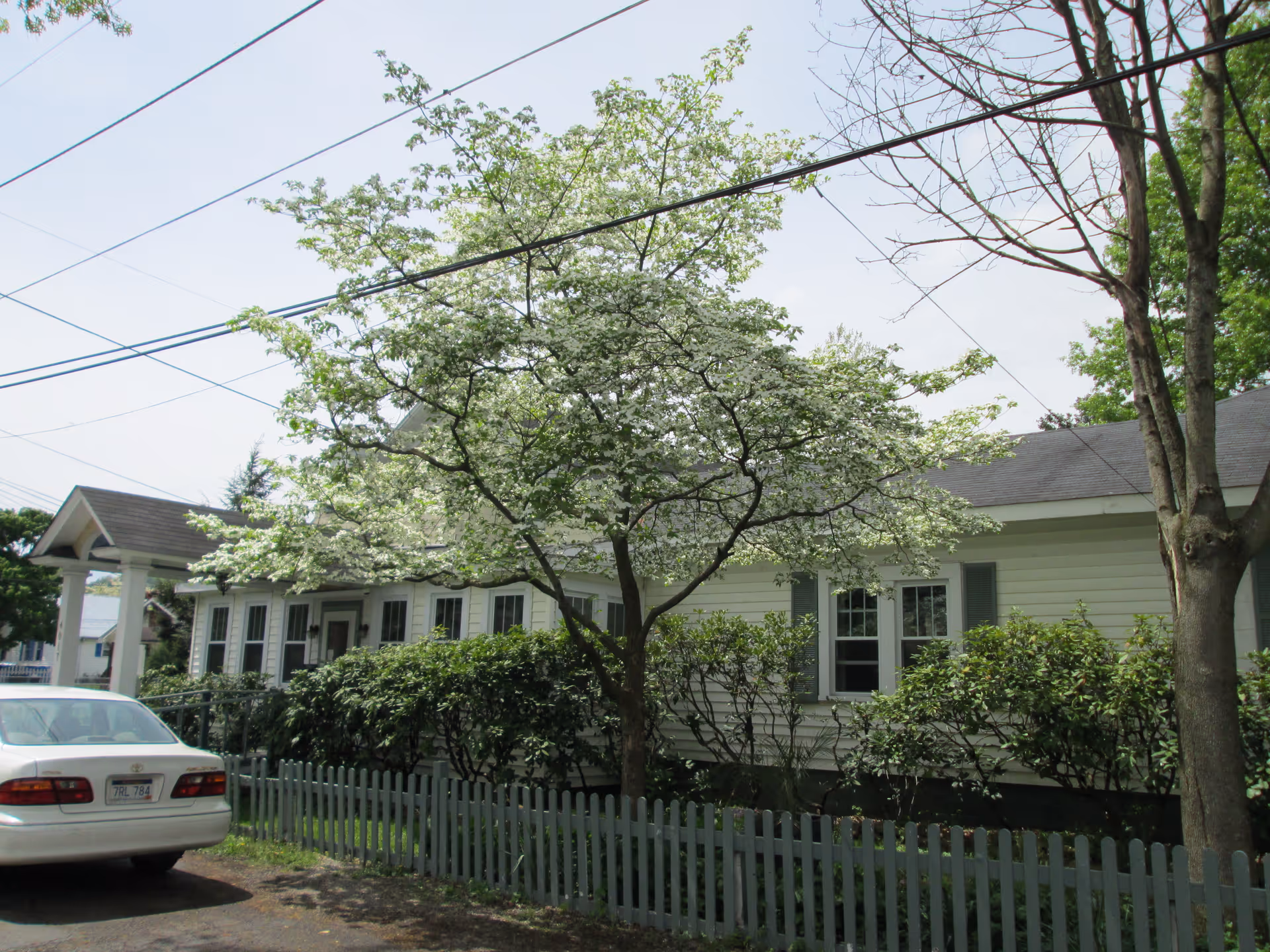 Exterior view of a single-story building with white siding and green shutters, surrounded by green bushes and trees, including one tree with white blossoms. A white car is parked on the left side near a light blue picket fence.