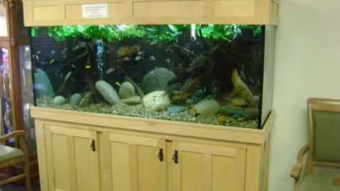 A large aquarium on a wooden cabinet fills an interior room.