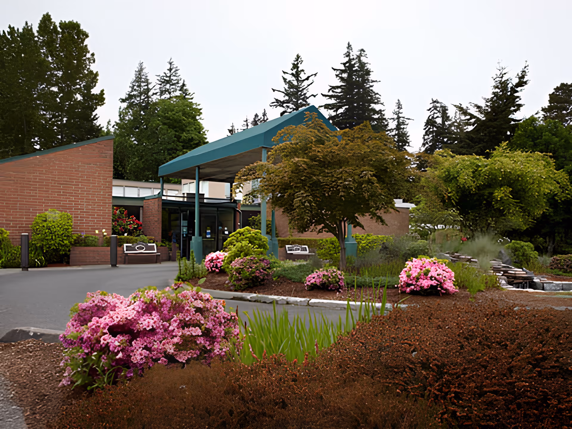 Entrance to Avamere Bellingham Healthcare and Rehabilitation Services with a covered drop-off area, surrounded by landscaped gardens featuring pink flowers, bushes, and trees, with tall evergreen trees in the background.