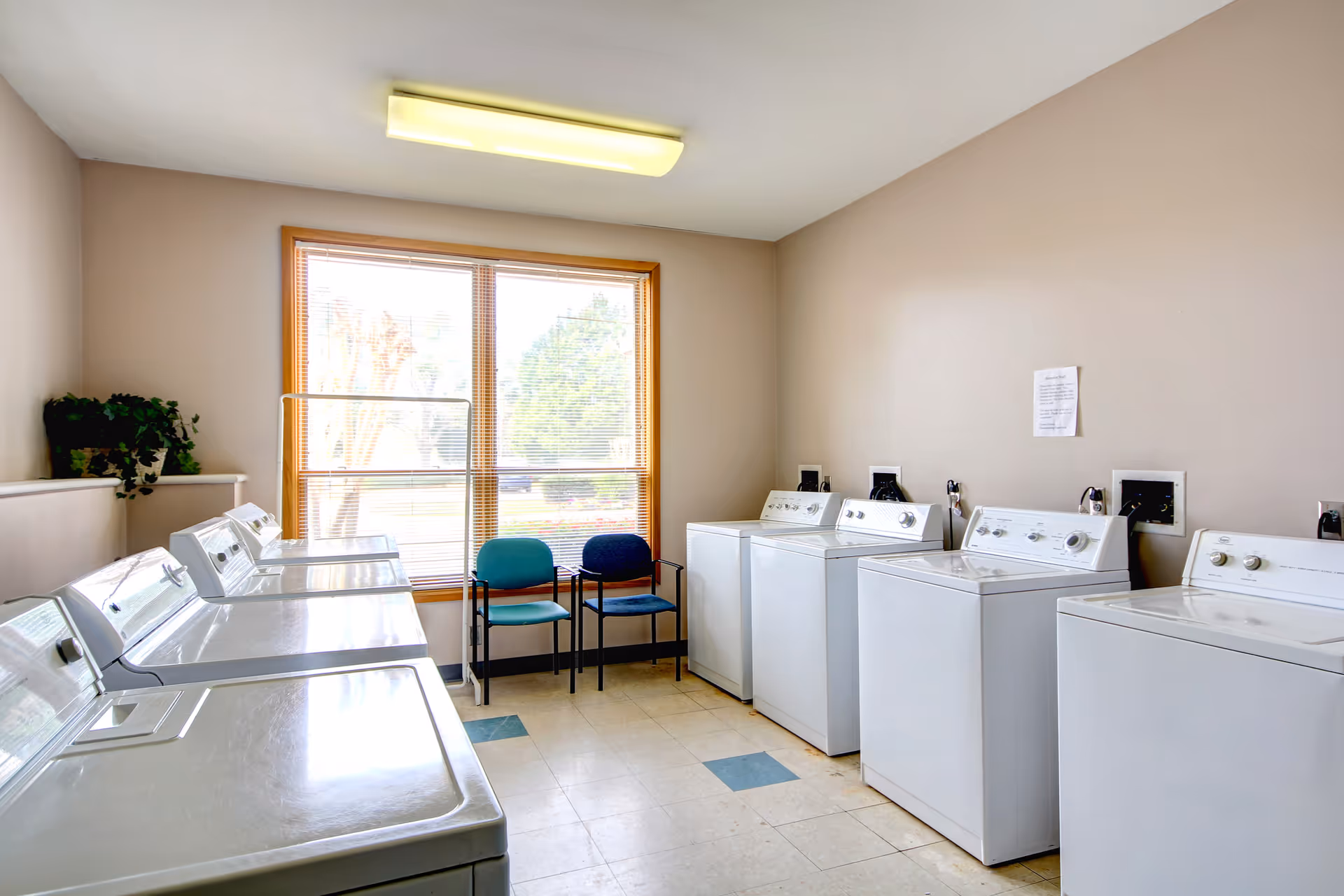 Laundry room with multiple white washing machines and dryers lined up against the walls, a large window with blinds letting in natural light, two chairs placed near the window, and a potted plant on a ledge.
