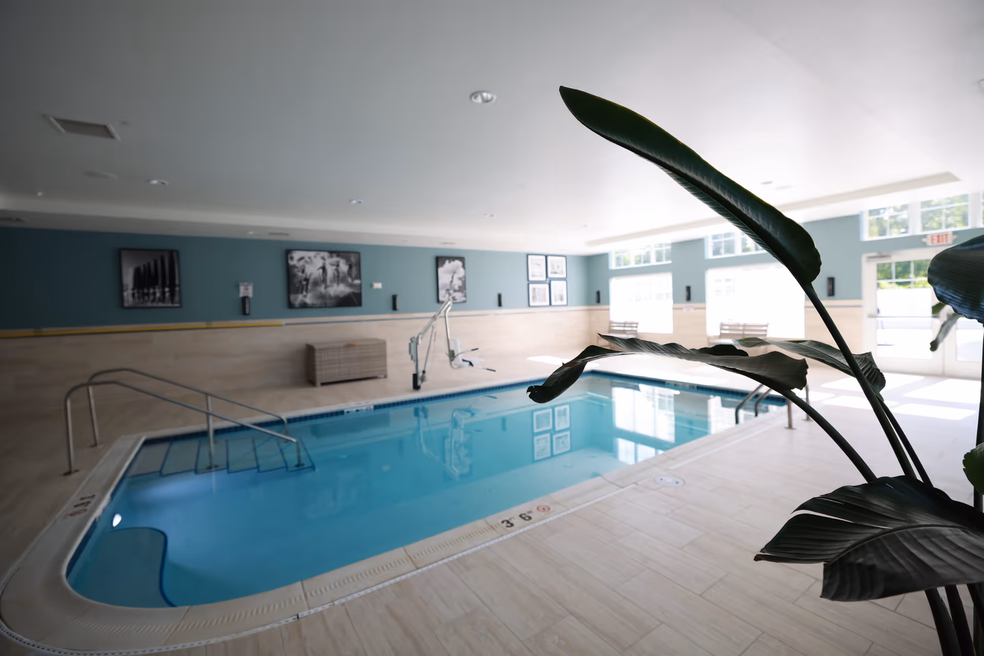 Indoor swimming pool area with light blue water, beige tiled floor, metal handrails, a pool lift, and large windows letting in natural light. There are framed black and white pictures on the teal-colored wall and a large green plant in the foreground.