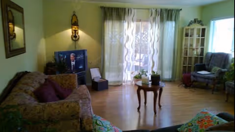 Cozy living room with sofas, a TV, plants, and glass doors letting light in.