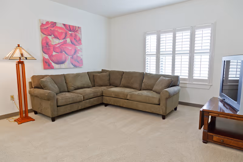 A living room with a large olive green sectional sofa, a wooden floor lamp with a stained glass shade, a wooden TV stand with a flat screen TV, and a window with white plantation shutters. A painting of red flowers hangs on the wall above the sofa.