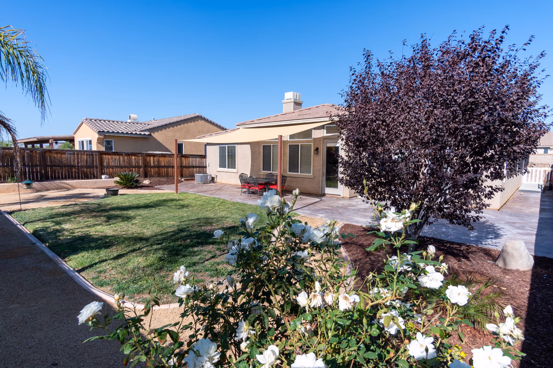 Backyard of a single-story house showing a patio, lawn, flowering bushes, and a tree under a clear blue sky.