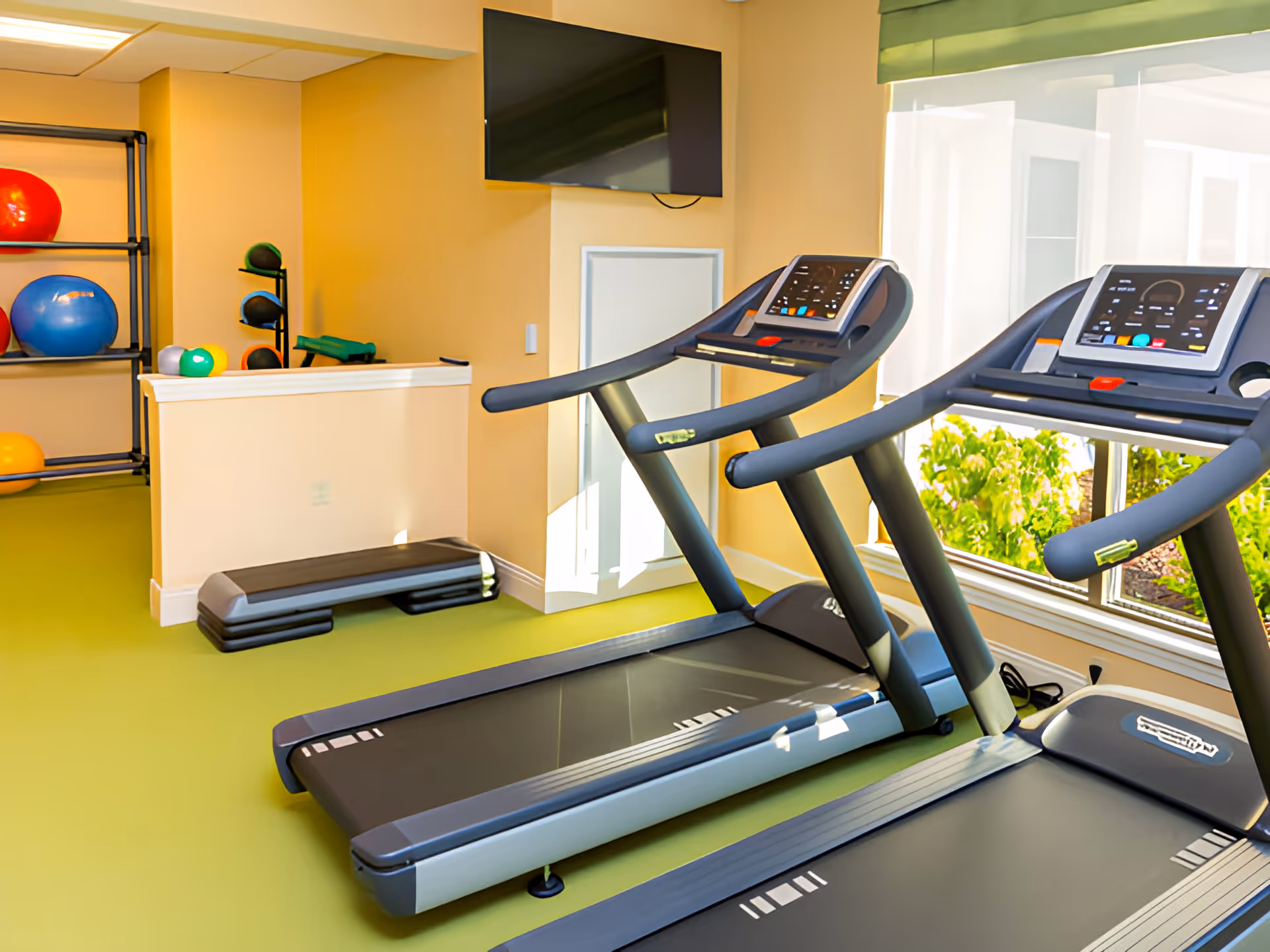 A fitness room with two treadmills facing a large window with greenery outside. The room has a green floor and beige walls. There is a wall-mounted TV above a small white door, and shelves holding various exercise balls and weights.