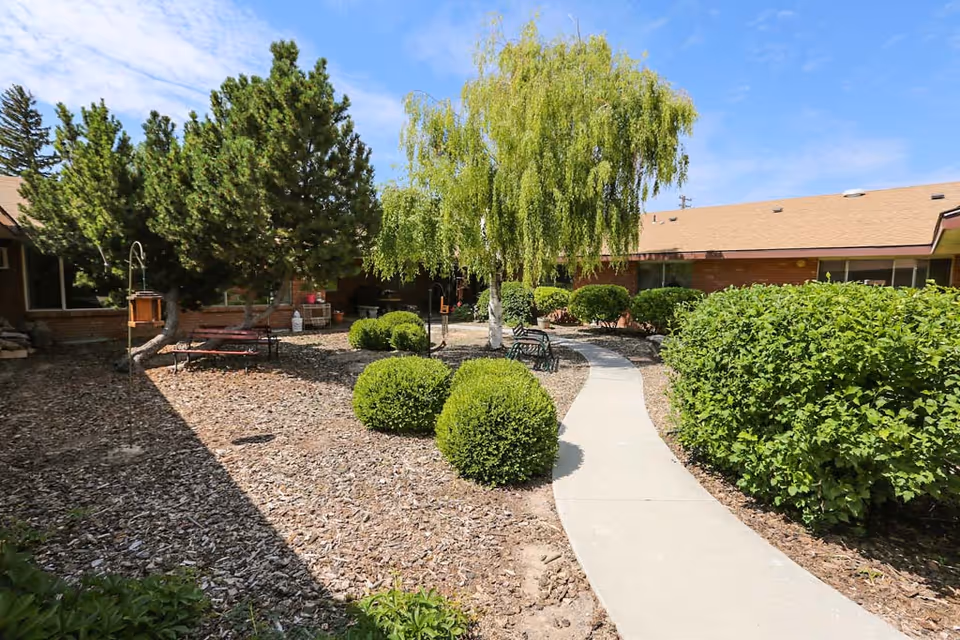 Sunny courtyard with a concrete walkway, round trimmed shrubs, benches, and a weeping willow in front of a single-story brick building.