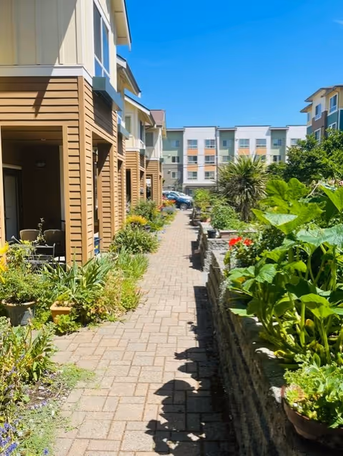 A sunny outdoor walkway between residential buildings with plants and greenery on both sides, including a raised garden bed on the right and potted plants on the left. The sky is clear and blue.