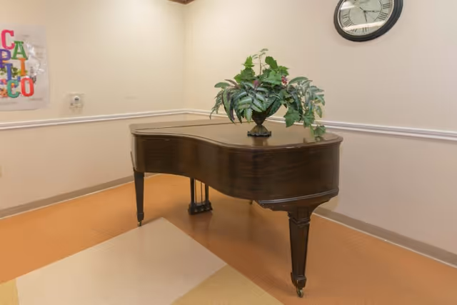 A dark wooden grand piano with a decorative green plant on top, placed in a corner of a room with beige walls and a clock hanging above it. The floor has a mix of tan and beige tiles, and there is a colorful poster on the left wall.