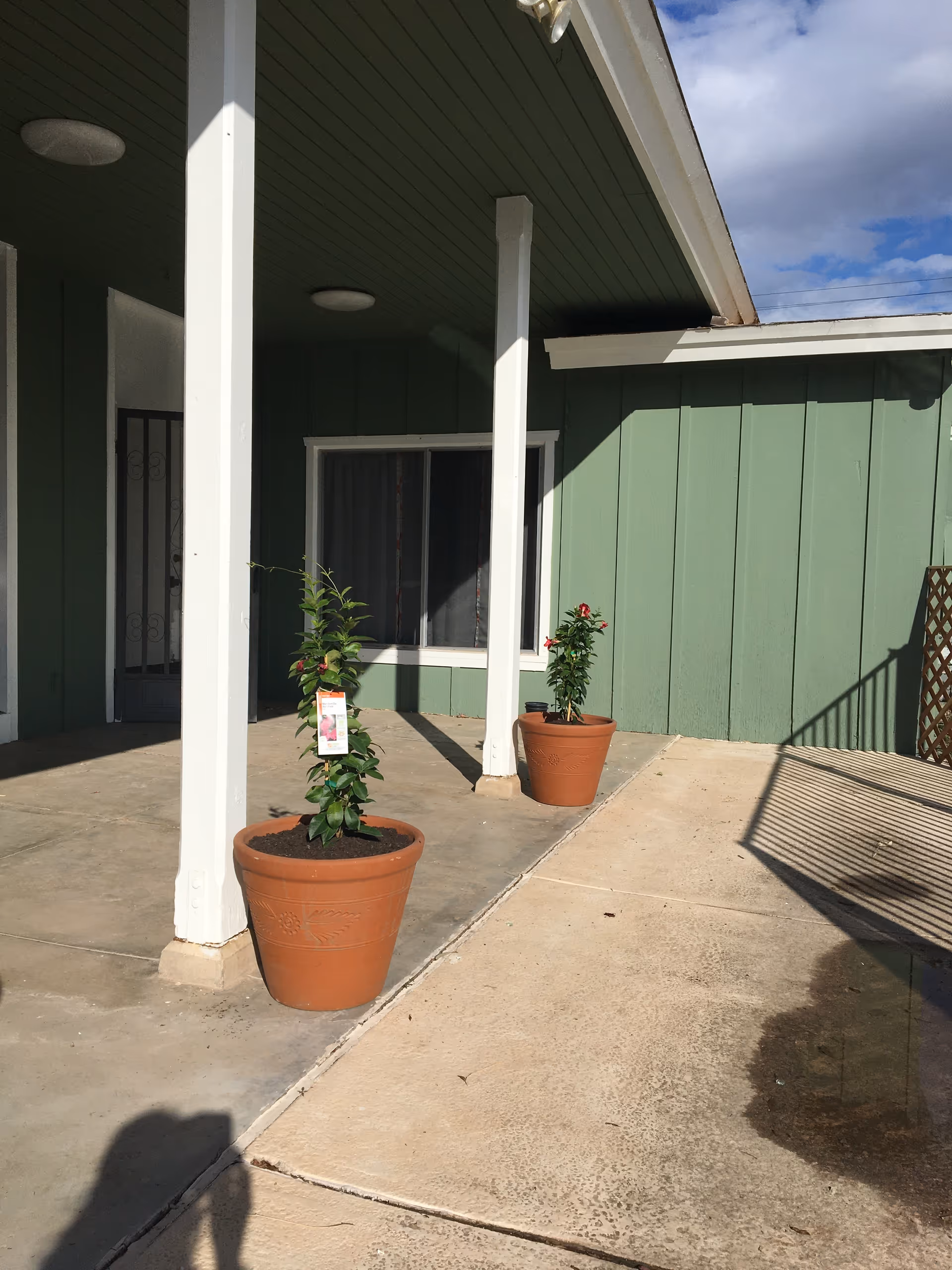 Outdoor patio area with two large terracotta pots containing small plants. The patio is adjacent to a green building with white pillars supporting a roof overhang. A window and a door with a security screen are visible on the building. The sky is partly cloudy.