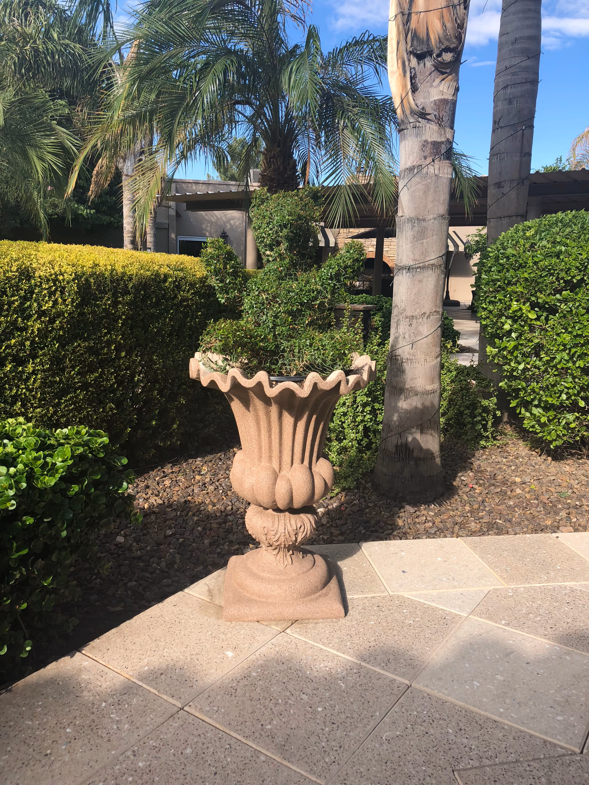 Outdoor garden area with a large decorative stone planter containing a cactus-shaped topiary. Surrounding the planter are trimmed green bushes, palm trees, and a paved patio area under a clear blue sky.