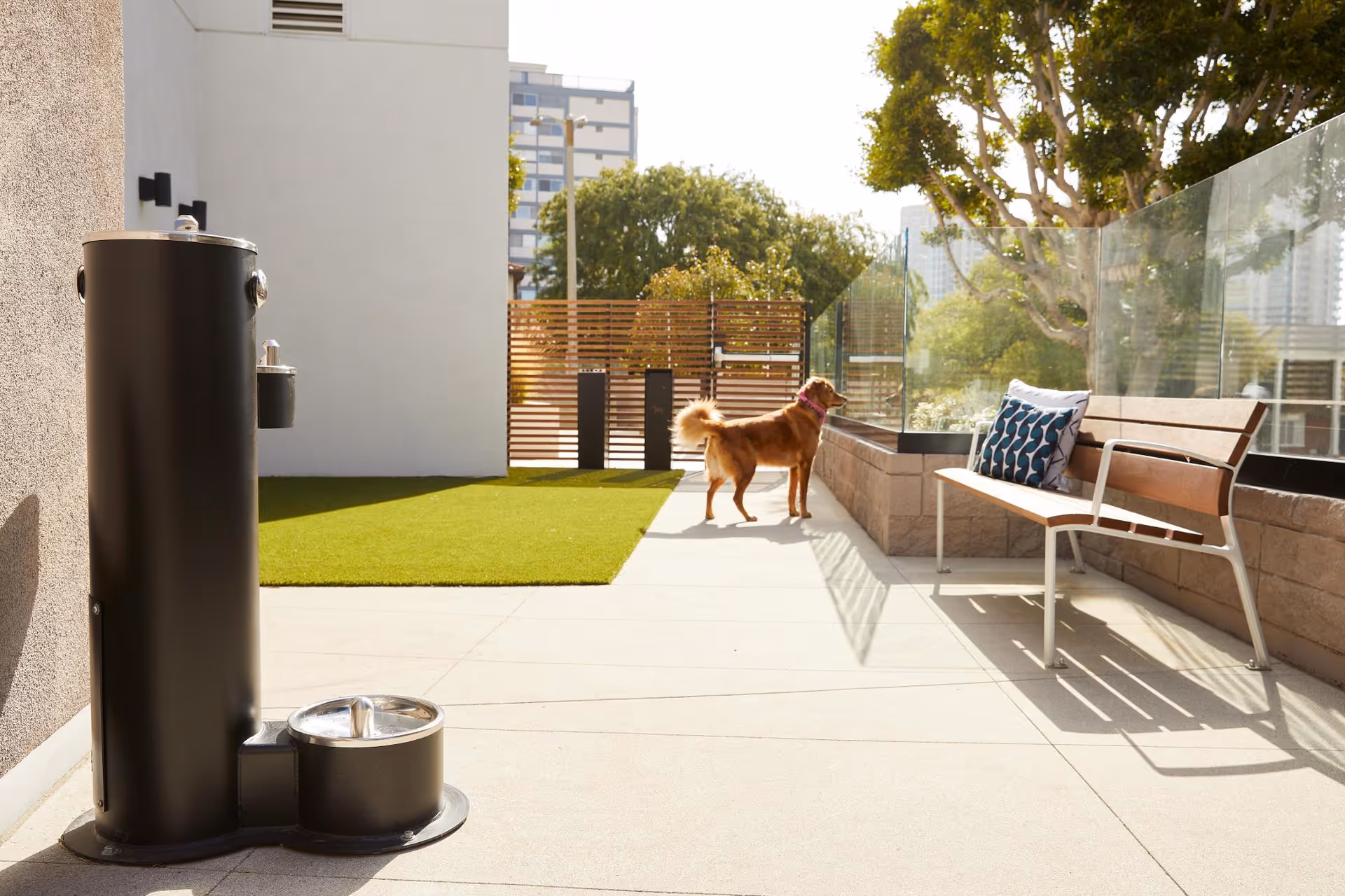 Outdoor patio area with a brown dog standing near a glass fence. There is a wooden bench with a blue and white patterned cushion on the right side and a black water fountain for pets on the left. Trees and buildings are visible in the background under a clear sky.