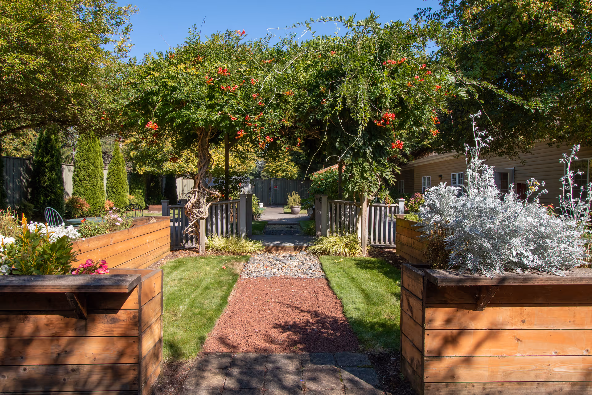 A sunny outdoor garden area with a pathway leading through raised wooden flower beds filled with various plants and flowers. There is a wooden archway covered with green vines and red flowers. Trees and shrubs surround the garden, and a building is visible on the right side.
