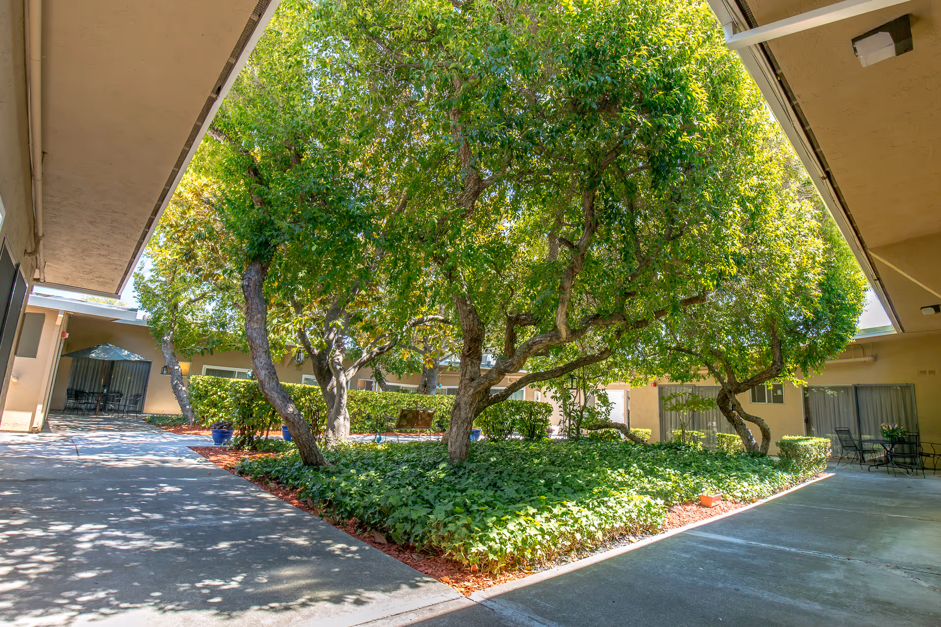 Outdoor courtyard area at Windsor Rosewood Care Center featuring a large tree with lush green foliage surrounded by low shrubs and plants. The courtyard is bordered by a covered walkway with beige walls and windows, and there are outdoor seating areas with tables and chairs visible in the background.