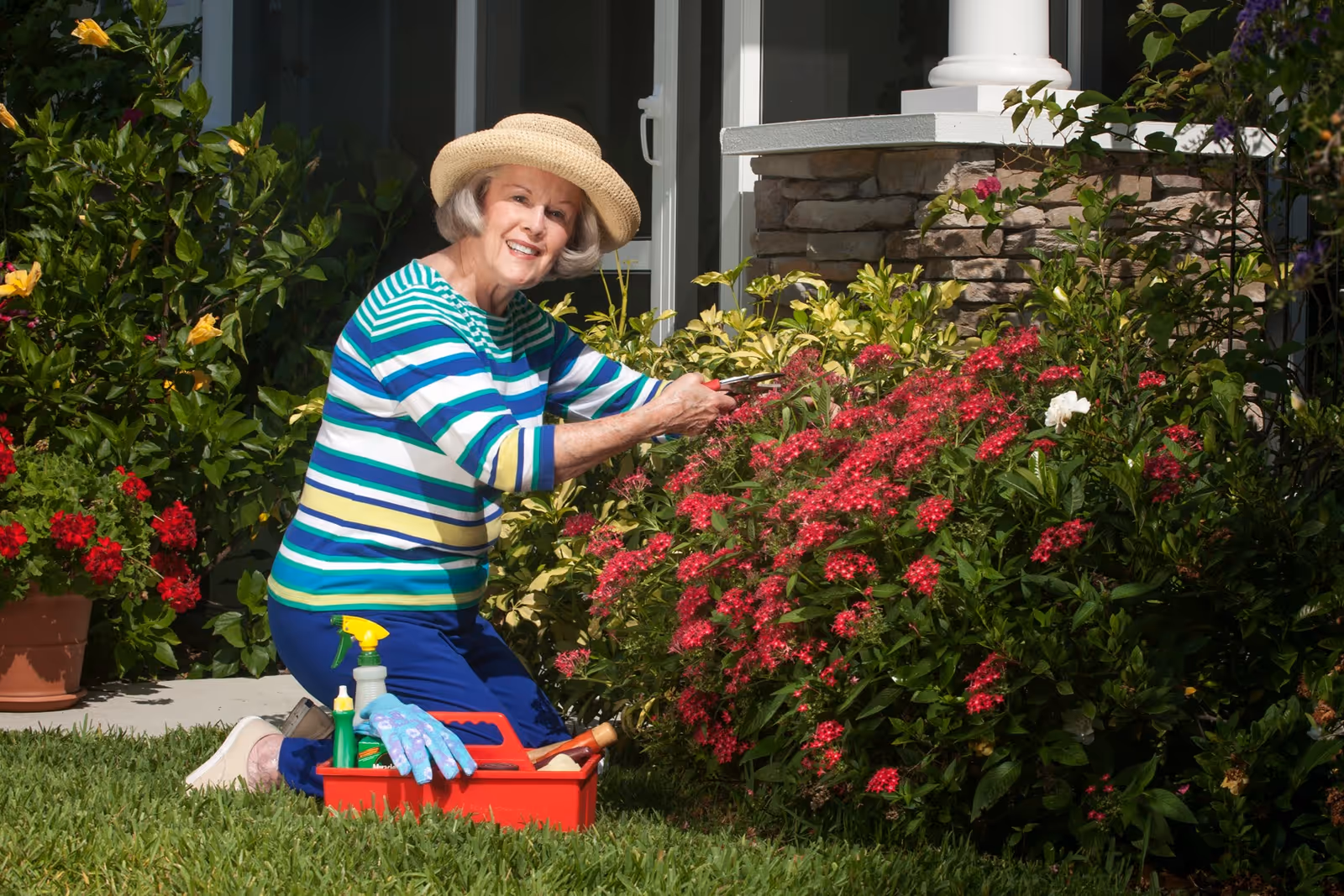 An elderly woman wearing a striped shirt, blue pants, and a straw hat is kneeling on the grass while gardening. She is trimming red flowers with pruning shears near a stone pillar and surrounded by green plants and flowers. A red gardening toolbox with gloves and spray bottles is placed on the grass beside her.