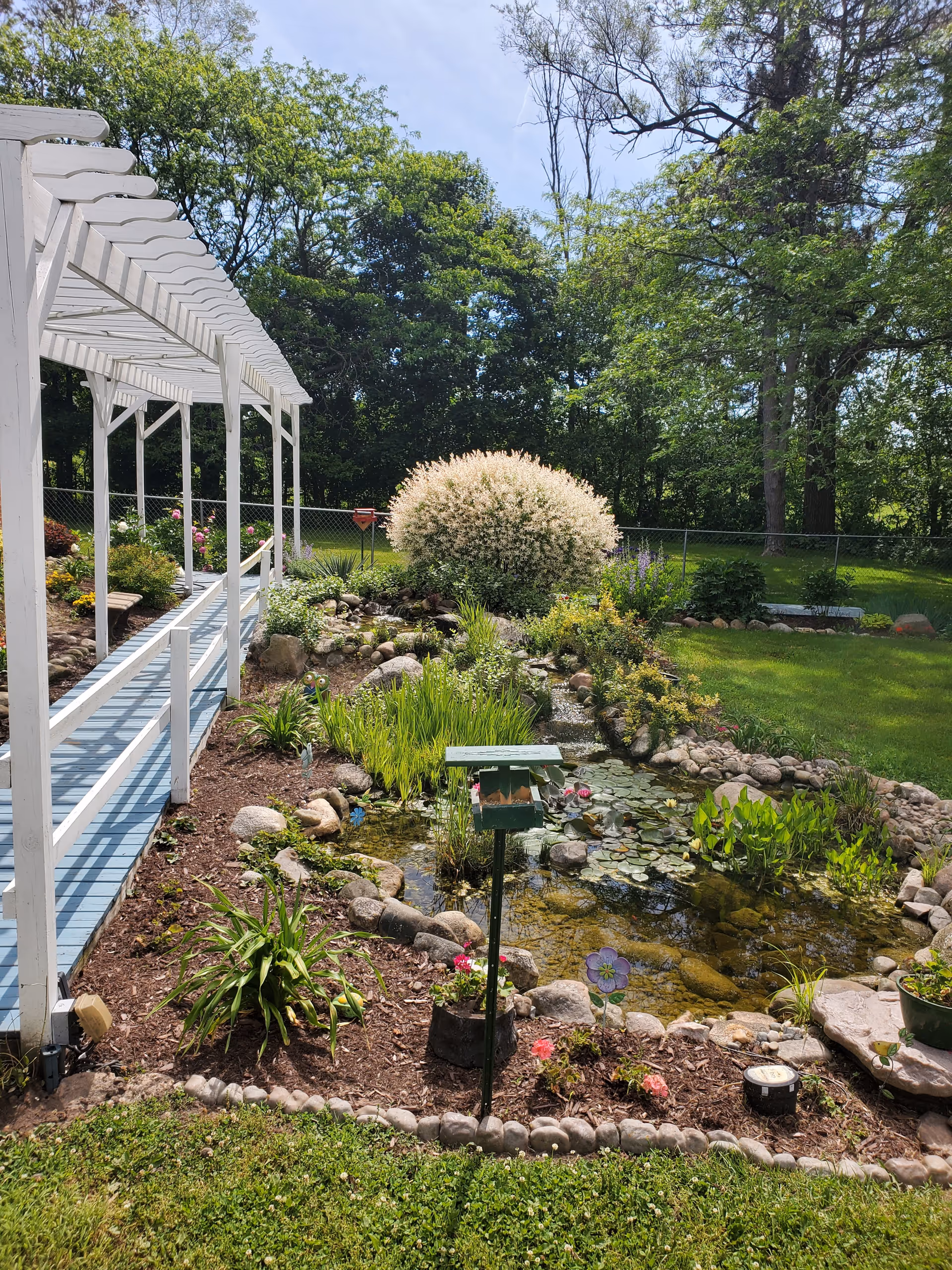 A landscaped outdoor garden with a white pergola-covered walkway beside a pond filled with water lilies, surrounded by shrubs and trees.