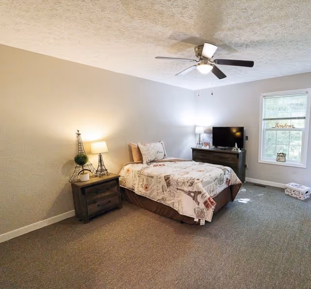 A bedroom with a single bed covered with a patterned quilt featuring Eiffel Tower designs. There is a wooden nightstand with a lamp and decorative items next to the bed. Across from the bed is a wooden dresser with a TV on top. A window with blinds lets in natural light, and the room has a ceiling fan with a light fixture. The carpet is gray, and the walls are painted light gray.