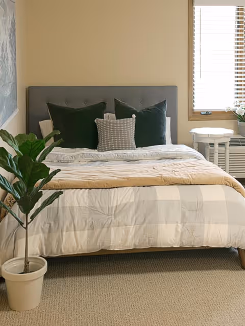 A neatly made bed with a gray upholstered headboard, two dark green pillows, and a smaller patterned pillow in front. The bed has a beige and white checkered comforter and a light brown blanket folded at the foot. To the left of the bed is a potted plant with green leaves, and to the right is a window with wooden blinds and a small white side table with a plant on it. The room has beige walls and carpeted flooring.