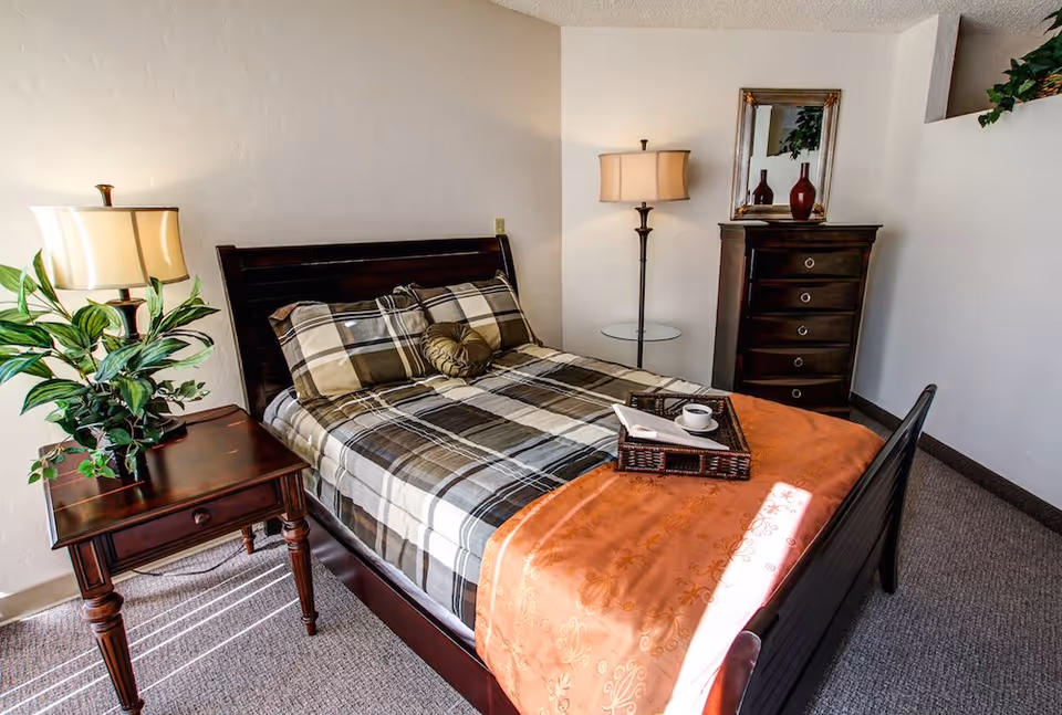 Sunlit bedroom featuring a plaid-covered bed, wooden nightstand with lamp and plant, and a tall dresser.