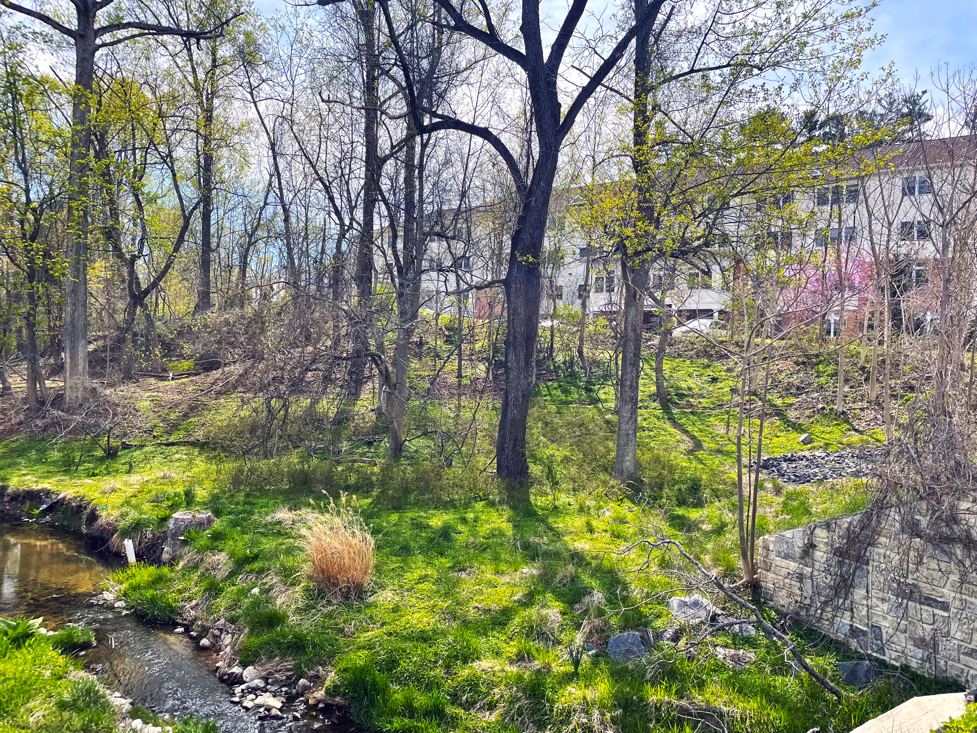 A peaceful outdoor scene with a small stream flowing through a grassy area surrounded by trees with budding leaves. In the background, a multi-story building is partially visible behind the trees under a partly cloudy sky.