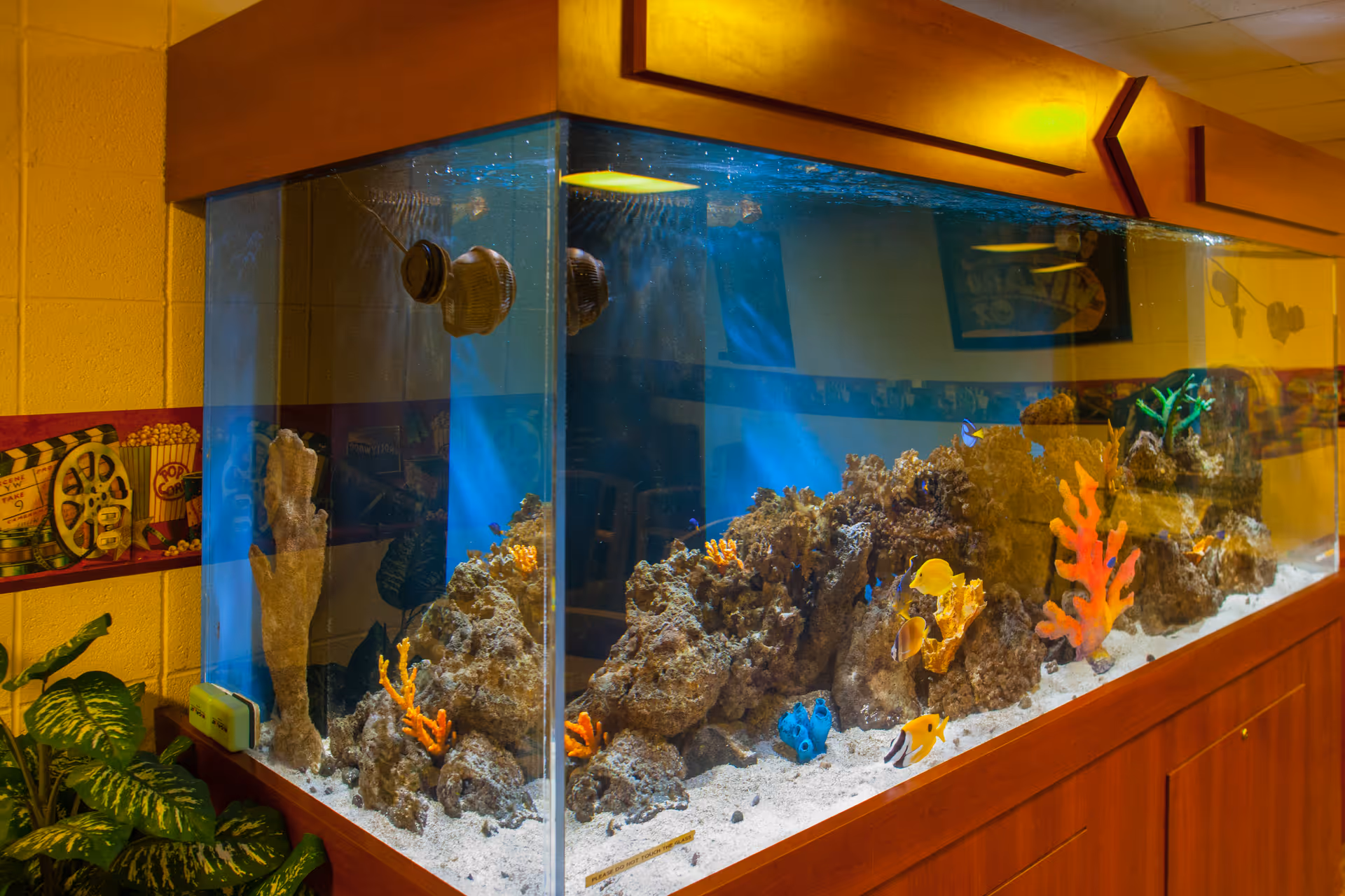 Large rectangular aquarium filled with various colorful fish and coral decorations, set against a yellow wall with a decorative border featuring popcorn and movie-themed images. A green plant is visible to the left of the aquarium.