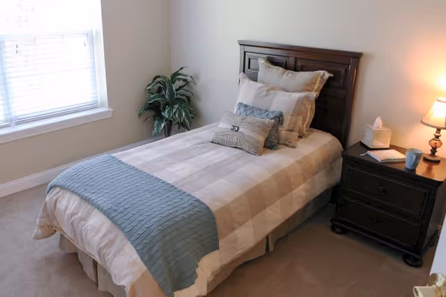 A neatly made single bed with a wooden headboard, adorned with multiple pillows and a blue throw blanket at the foot. Next to the bed is a dark wooden nightstand with a lamp, a tissue box, a book, and a blue mug. A window with blinds and a green potted plant are visible on the left side of the room.