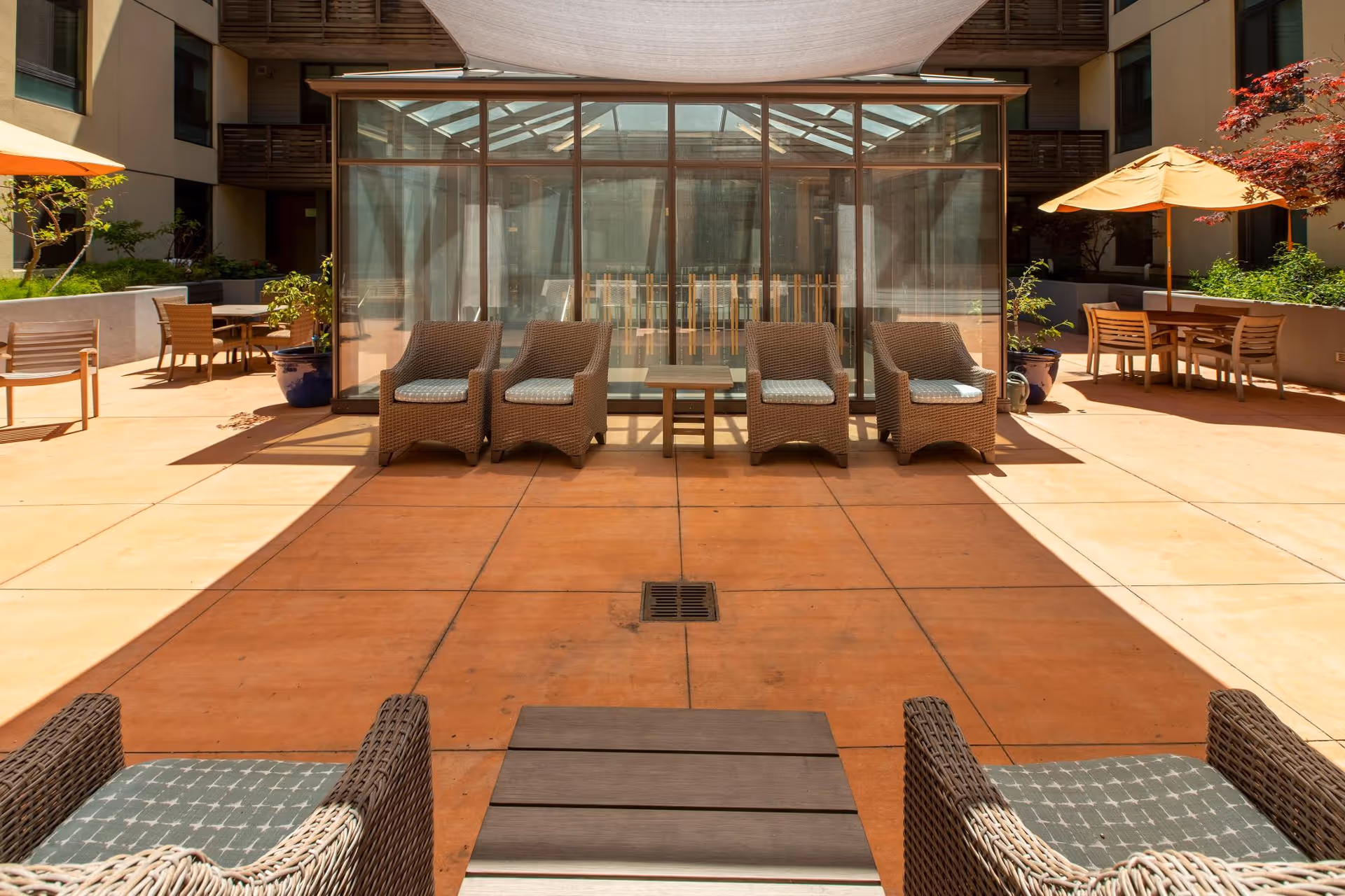 Outdoor patio area at 1440 By The Bay Senior Living featuring wicker chairs with cushions, small tables, large umbrellas, potted plants, and a glass-enclosed structure in the center. The space is surrounded by the building with windows and balconies.