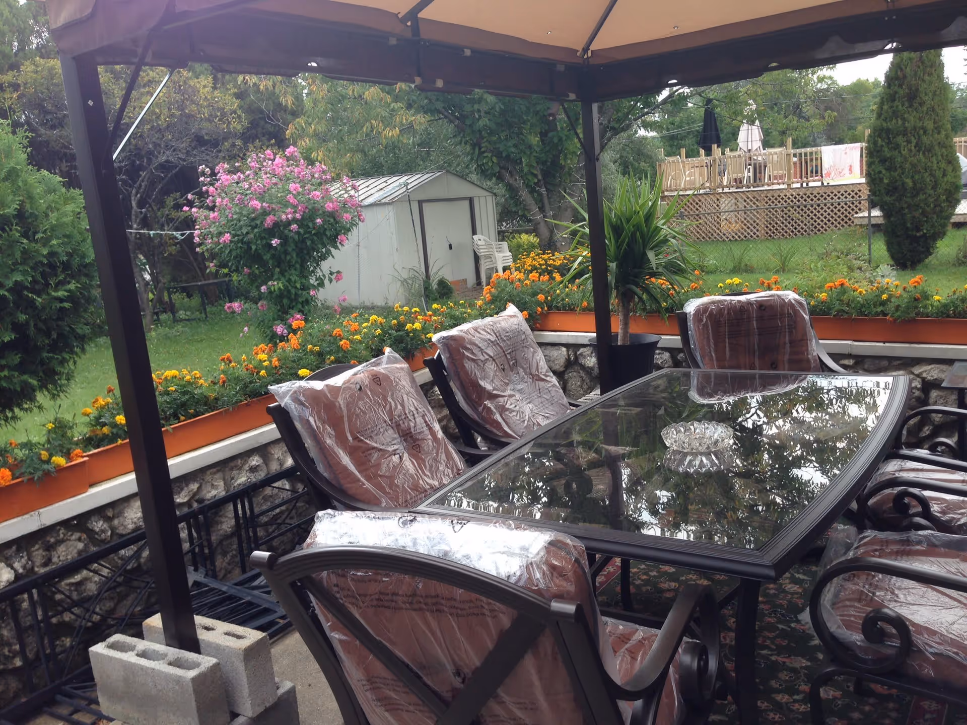 Outdoor covered patio with a glass-top dining table and cushioned chairs under a gazebo, overlooking a flowerbed and a small shed.